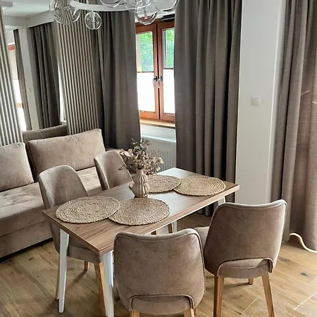 Przy Potoku 25 W Centrum Zakopanego - Bezplatny Parking I Klimatyzacja 자코파네